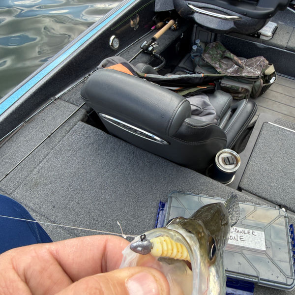 Table Rock Custom Baits fishing result
