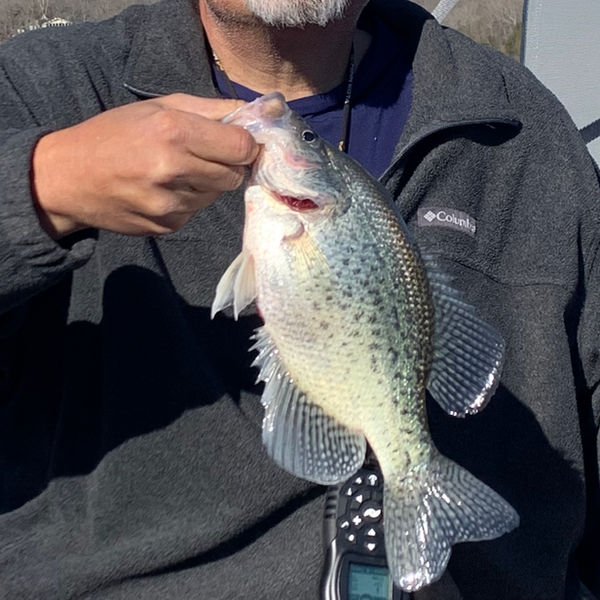 Custom bait colors and profiles