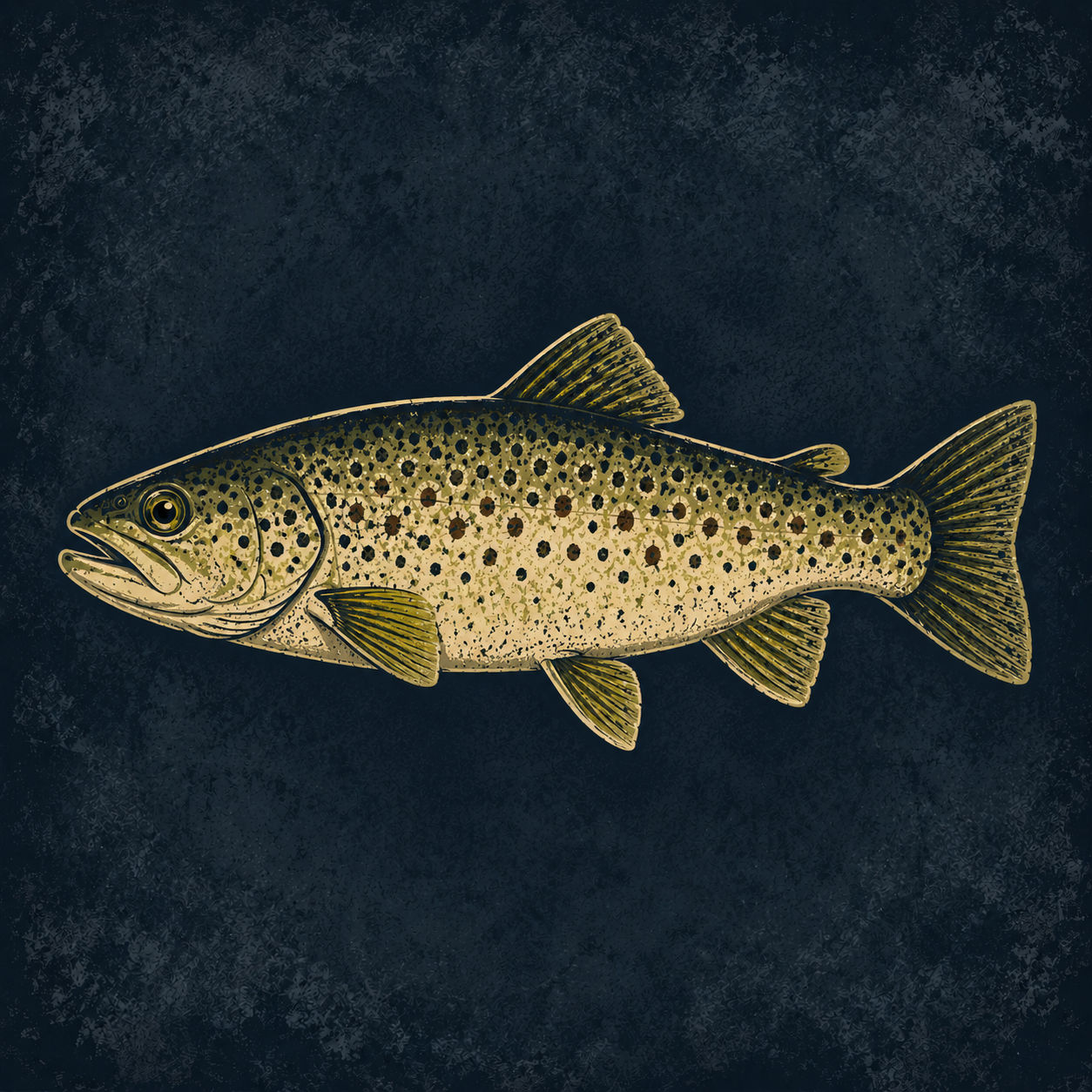 Trout category artwork for Table Rock Custom Baits