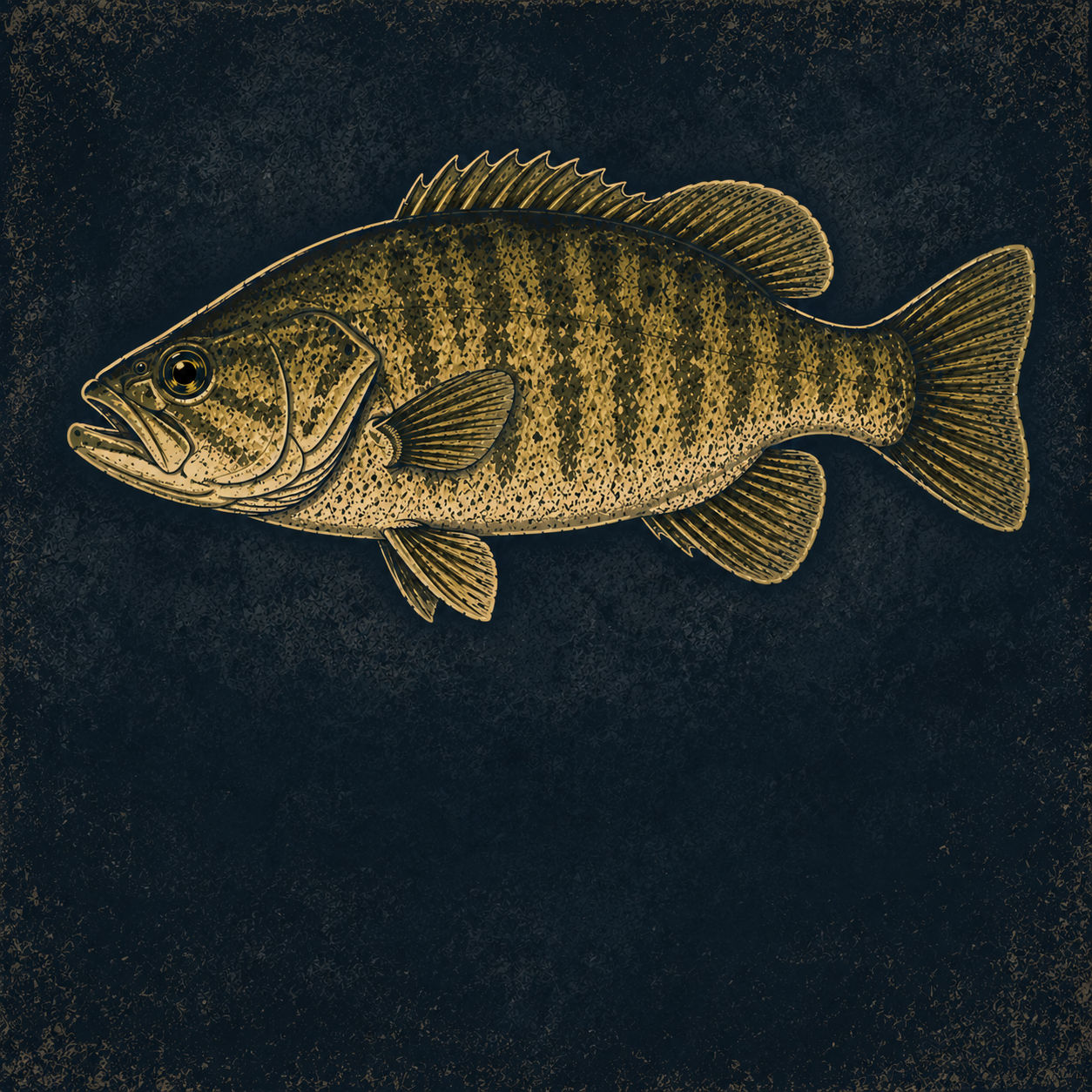 Bass Finesse Series category icon