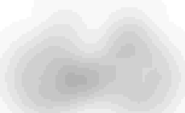 CUBE Cube Agree C:62 grey´n´black 60 cm grey´n´black kaufen in Thurgau #1 | velomarkt.ch