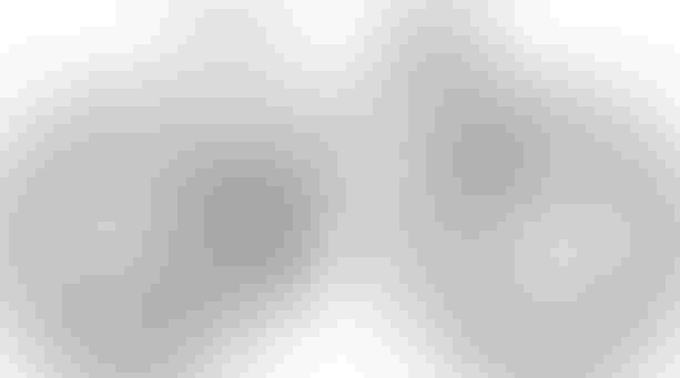 Focus THRON 6.8 XL grau kaufen in Basel-Landschaft #1 | velomarkt.ch