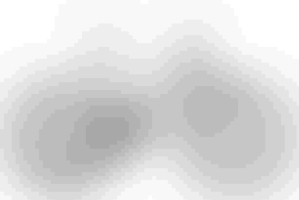 Bixs SAUVAGE E15 XL metallic white kaufen in Argovia #1 | velomarkt.ch