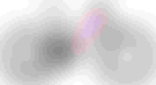 BiXS Sign-e23 Black Purple L kaufen in Thurgau #1 | velomarkt.ch