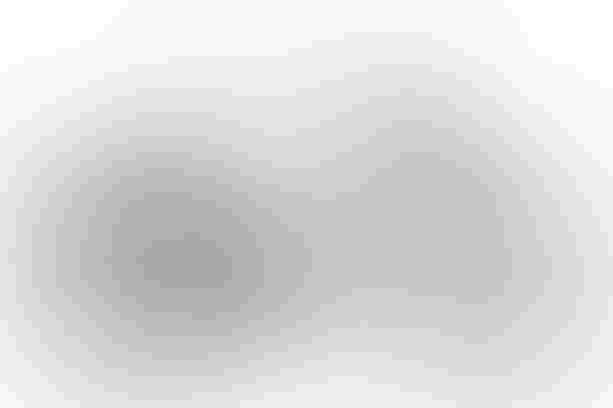 BiXS SPLASH EQ GREY grey/black S kaufen in Thurgau #1 | velomarkt.ch