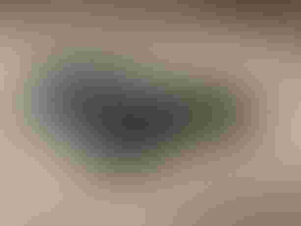 Prologo Dimension 143 kaufen in Aargau #1 | velomarkt.ch