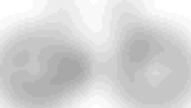 BiXS SIGN 220 dark white kaufen in Thurgau #1 | velomarkt.ch