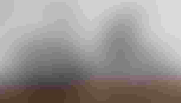 BMC URS LT TWO - Gravel kaufen in Basel-Landschaft #1 | velomarkt.ch