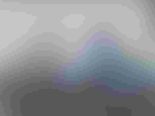 Gary Fisher MT Tam 45 Blau/Silber kaufen in Bern #1 | velomarkt.ch