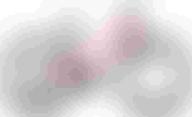 Cube Numove 240 fucsia´n´plum 24&quot; fucsia´n´plum kaufen in Thurgau #1 | velomarkt.ch