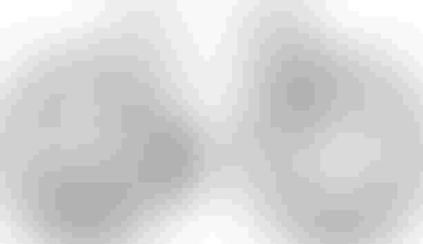 Cube Reaction C:62 Race foggrey´n´white S foggrey´n´white kaufen in Thurgovie #1 | velomarkt.ch