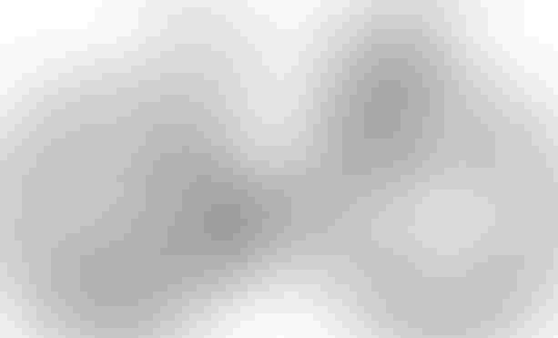 Cube Nuroad SLX ashgrey´n´grey XL ashgrey´n´grey kaufen in Thurgovie #1 | velomarkt.ch