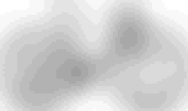 Cube Nulane Pro grey´n´chrome 53 cm grey´n´chrome kaufen in Thurgau #1 | velomarkt.ch