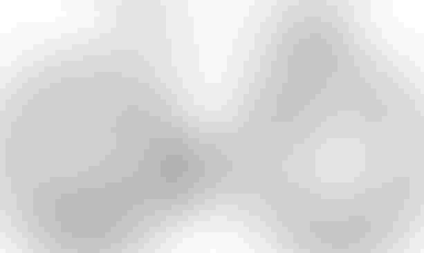 Cube Nuroad EX cotton´n´grey XL cotton´n´grey kaufen in Thurgau #1 | velomarkt.ch