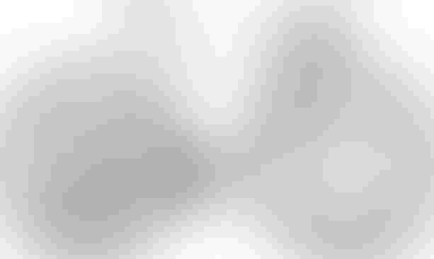 Cube Nuroad Pro pea´n´grey XS pea´n´grey kaufen in Thurgau #1 | velomarkt.ch