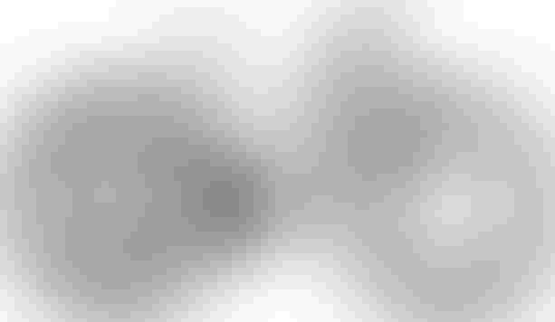 Cube Reaction Hybrid Race 800 FE vulcan´n´orange S vulcan´n´orange kaufen in Thurgau #1 | velomarkt.ch