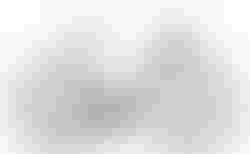 CUBE Cube Agree C:62 flashwhite´n´carbon 60 cm flashwhite´n´carbon | 578050 | velomarkt.ch