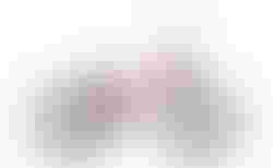 Radio Dice 20 candy red |  | velomarkt.ch