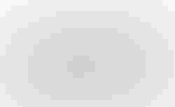 Awson Gravel ART Pro XL Sand/Beige |  | velomarkt.ch
