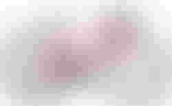 Awson Gravel ART Pro M Bordeaux/Gold |  | velomarkt.ch