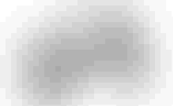 BiXS SAUVAGE E15 metallic white M kaufen in Thurgau #3 | velomarkt.ch