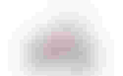 RADIO Dice, 16' | candy red, - | velomarkt.ch