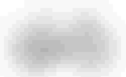 TARMAC SL8 SW SEA/LQDMET/TEAMYELTNT Di2 | 49/52/54/56/58/61 | velomarkt.ch