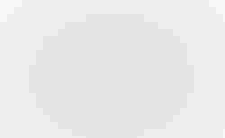 Naloo Hill Bill | gelb, - | velomarkt.ch