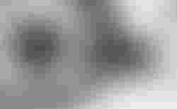 Stevens E-Juke FEQ 20 classic grey kaufen in St. Gallen #4 | velomarkt.ch