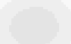 Naloo Chameleon 16" Mk2.1,  Light Green | light green, - | velomarkt.ch