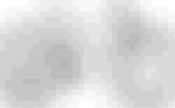 CUBE AMS ZERO99 C:68X SL 29 teamline L teamline | 652200 | velomarkt.ch