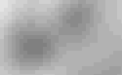 HUMBL theONErs | HUMBL theONErs - Swiss Build | velomarkt.ch