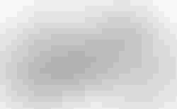 Cube Nulane Hybrid C:62 Race 400X | Cube Nulane Hybrid C:62 Race 400X | velomarkt.ch