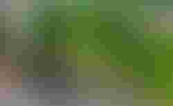 Santa Cruz Blur CC 2024 | Santa Cruz Blur CC 2024 | velomarkt.ch