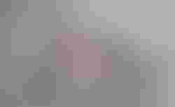 WOOM 2 ROSA FARBE | WOOM 2 ROSA | velomarkt.ch