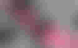 WOOM 2 ROSA FARBE kaufen in Graubünden #4 | velomarkt.ch