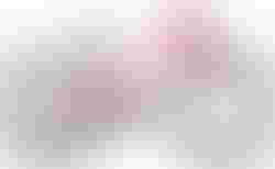 CUBE Cube Acid 240 coral´n´mint 24 coral´n´mint kaufen in Grigioni #2 | velomarkt.ch