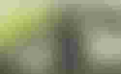 Tour de Suisse, Speed drive city &quot;26&quot;, Deore Herren, Farbe lemongreen kaufen in Lucerna #2 | velomarkt.ch