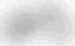 Cube AMS ZERO99 C:68X SLT 29 | Cube AMS ZERO99 C:68X SLT 29 | velomarkt.ch