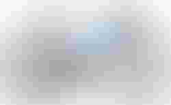 Cube Agree C:62 SLT | Cube Agree C:62 SLT | velomarkt.ch