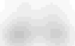 Riese & Müller Birdy city | Riese & Müller Birdy city | velomarkt.ch