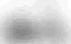 Tern NBD P8i | Tern NBD P8i | velomarkt.ch