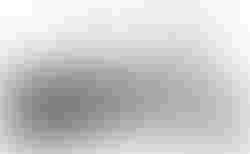 Tern GSD S00 | Tern GSD S00 | velomarkt.ch