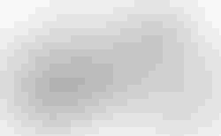 BMC UnReStricted three | BMC UnReStricted three | velomarkt.ch