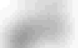 Tern Verge X11 | Tern Verge X11 | velomarkt.ch