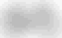 Cube Editor SLX FE | Cube Editor SLX FE | velomarkt.ch