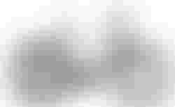 -25% focus PLANET² 6.8 M | 3749,- statt 4999,- | velomarkt.ch