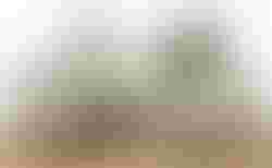 Checkpoint SLR 6 AXS | Hochwertiges Carbon-Gravel ! | velomarkt.ch