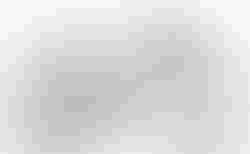 Cube Access WS C:62 SLX team ws | Cube Access WS C:62 SLX team ws | velomarkt.ch