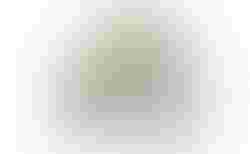 SCOR 2030 NX S NOT YELLOW | 30005914 | velomarkt.ch